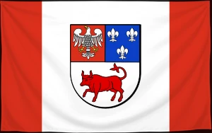 Флаг